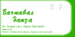 barnabas hamza business card